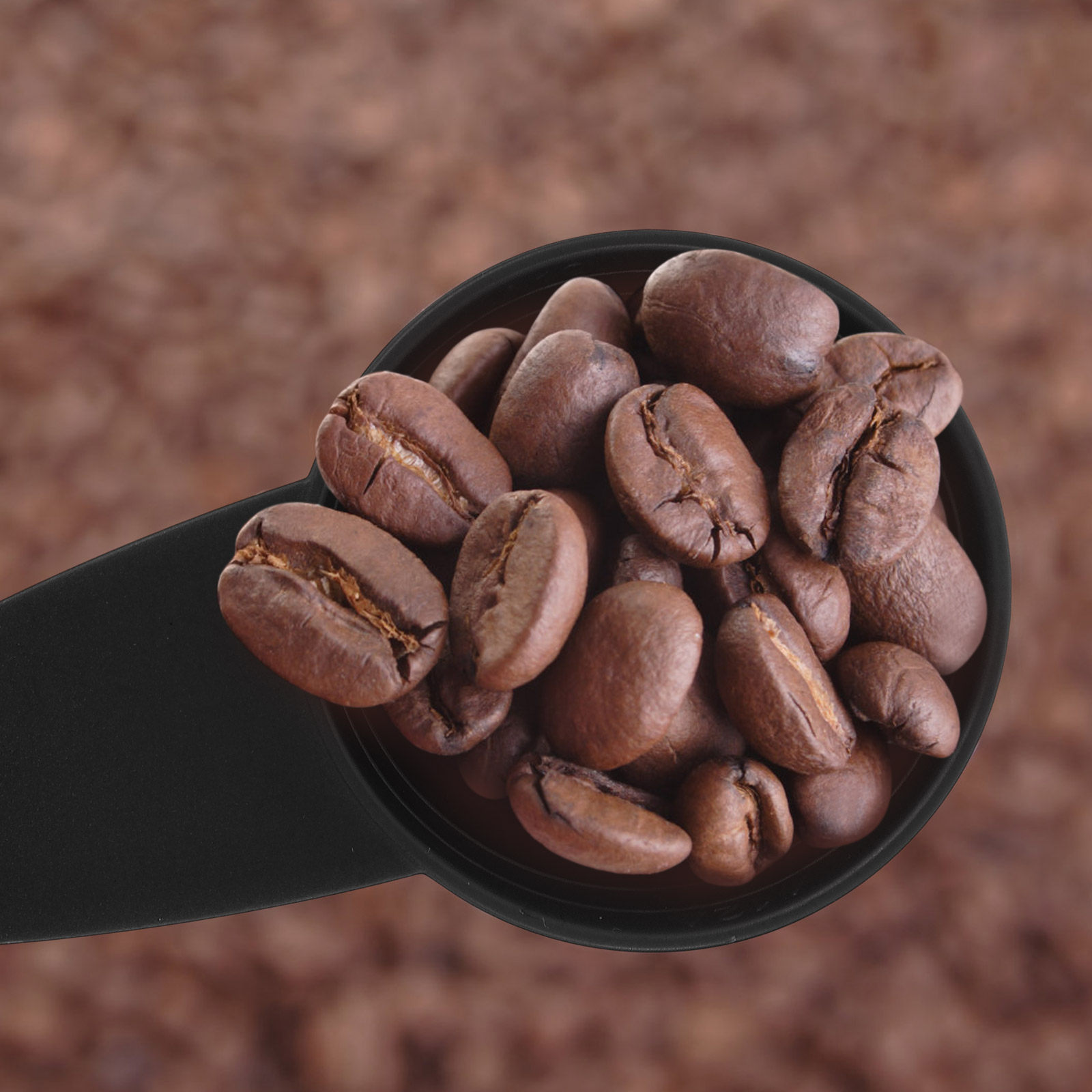 5-teiliges Messlöffel-Set mit  – Coffee Tea Spices Bewertung und Preis